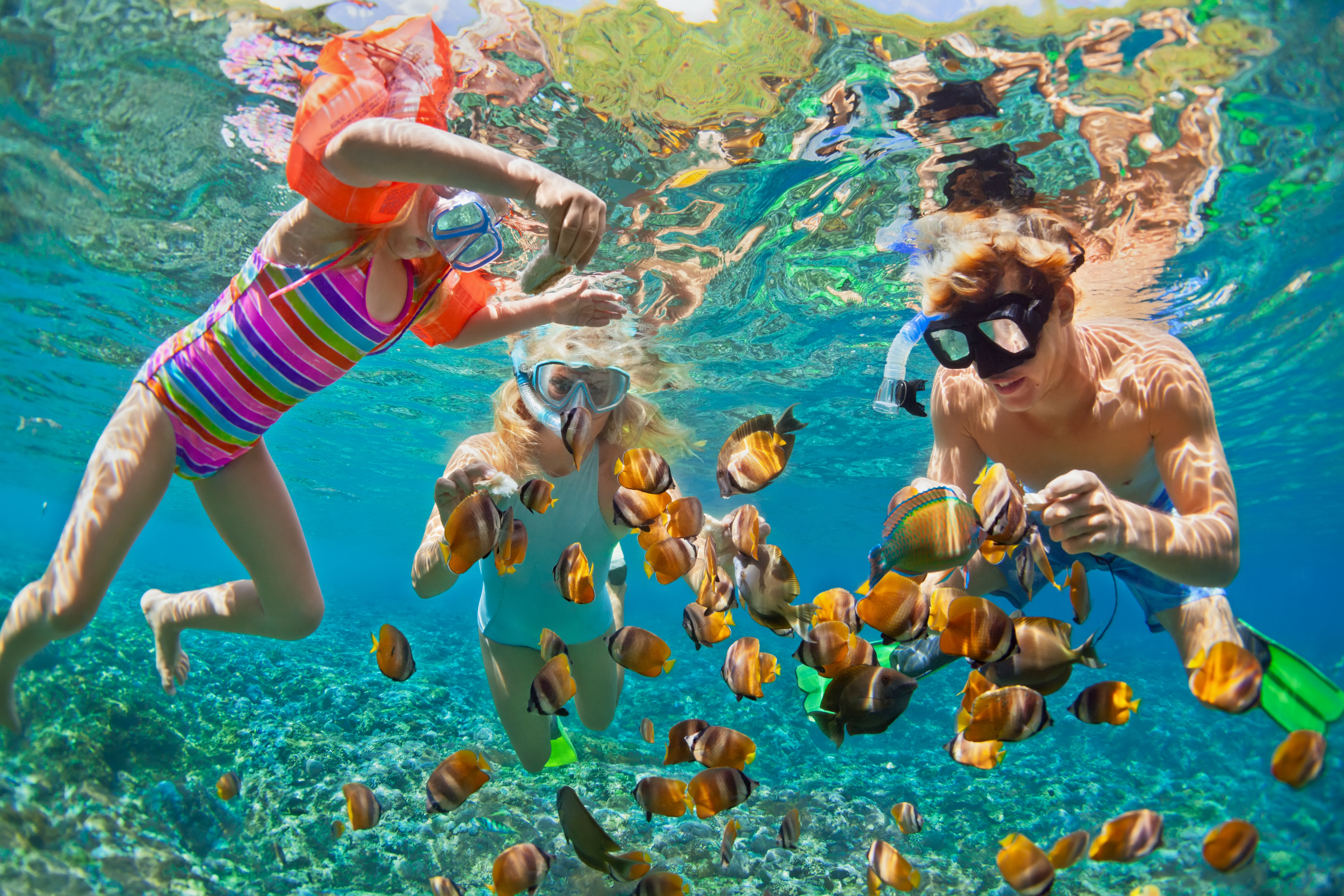 Family & Multigenerational Travel