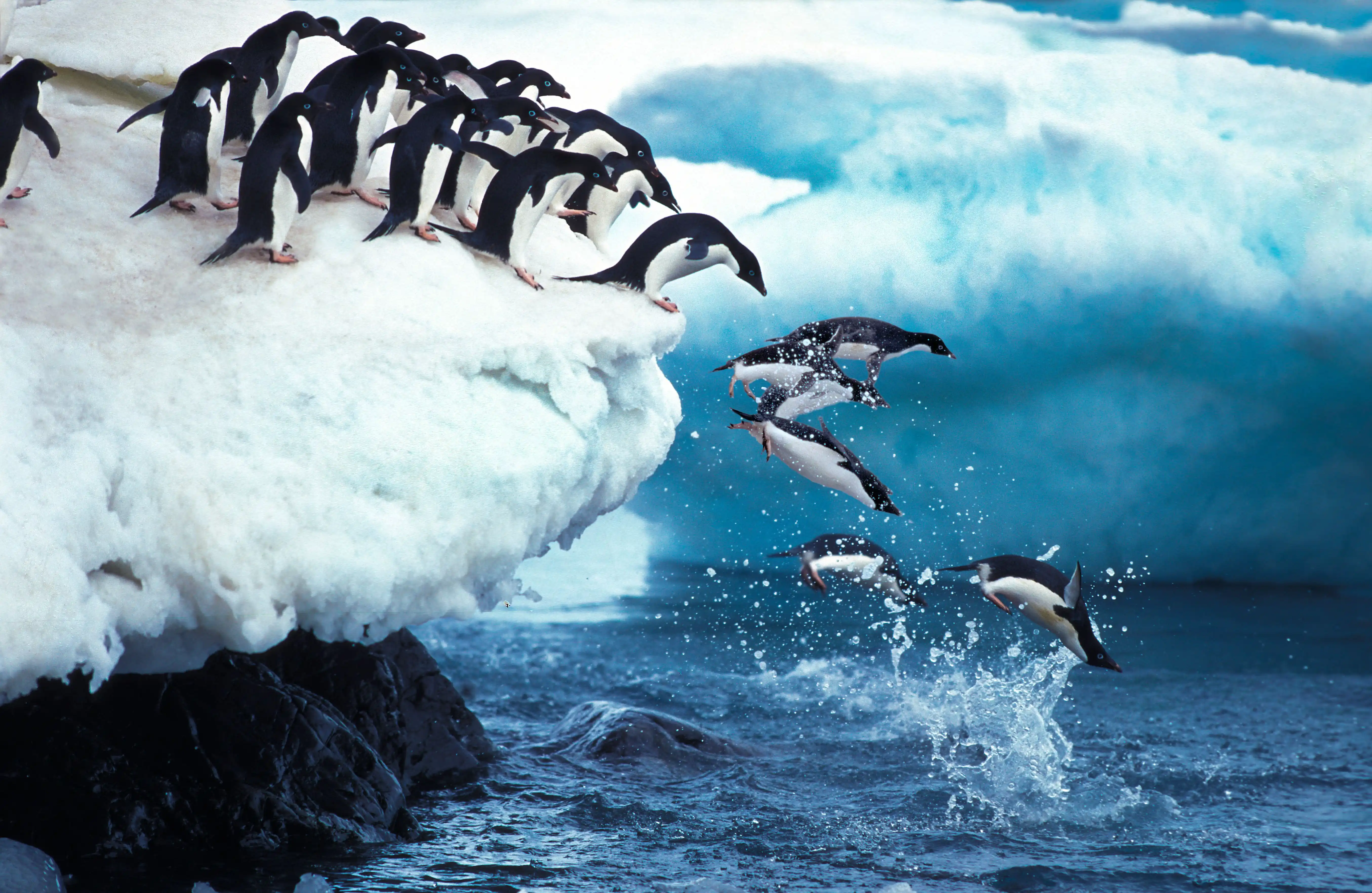 Expedition vessel in Antarctica with penguins on ice